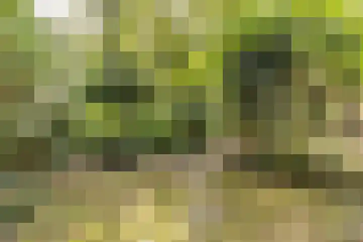 Nijenrode 1 Eindhoven thumbnail 28