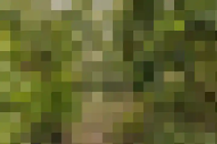 Nijenrode 1 Eindhoven thumbnail 29
