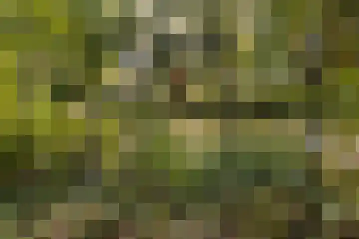 Nijenrode 1 Eindhoven thumbnail 30