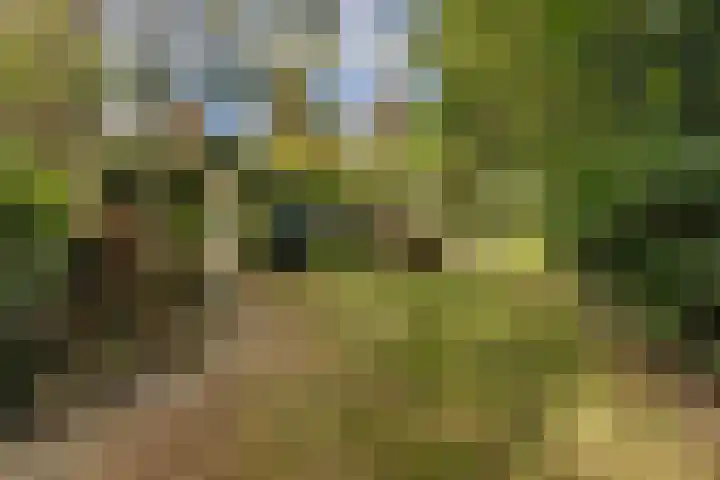 Nijenrode 1 Eindhoven thumbnail 31