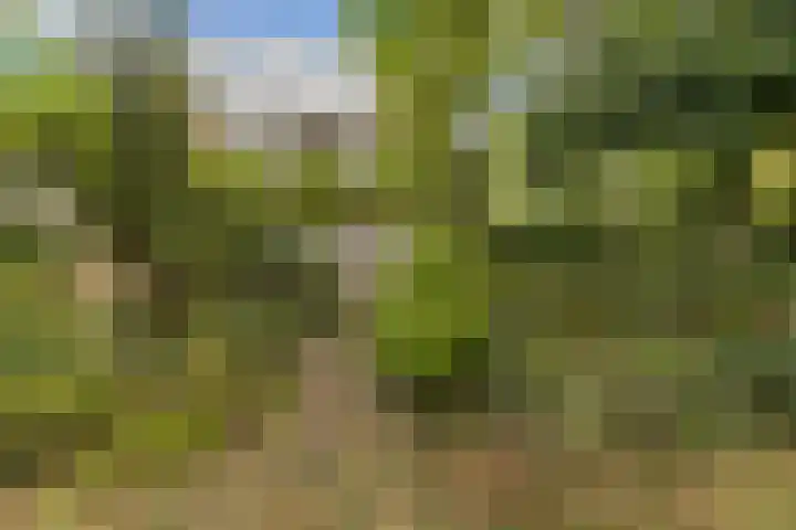 Nijenrode 1 Eindhoven thumbnail 32