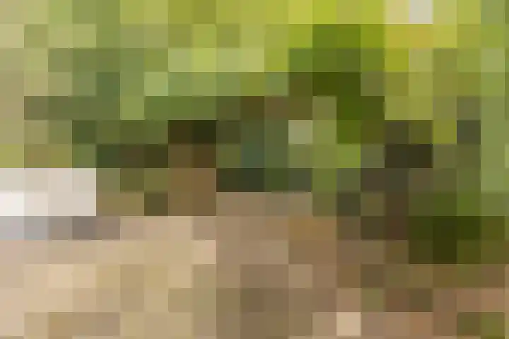 Nijenrode 1 Eindhoven thumbnail 33