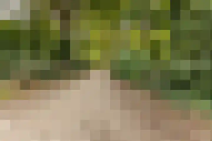 Nijenrode 1 Eindhoven thumbnail 34