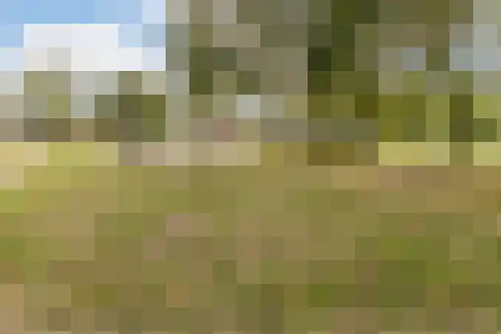Nijenrode 1 Eindhoven thumbnail 35
