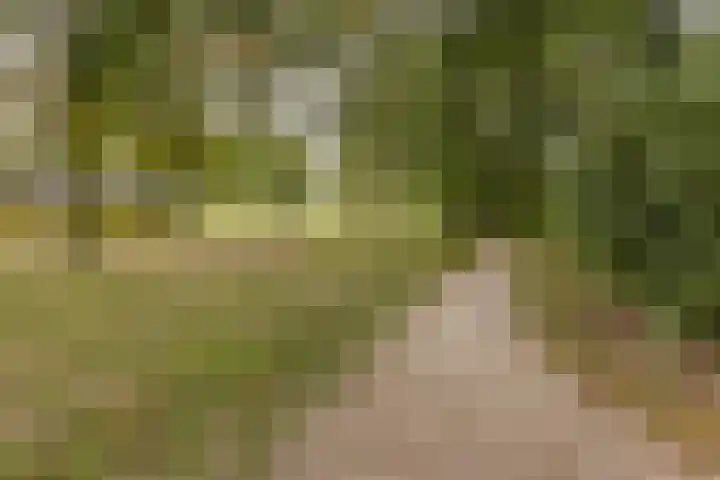 Nijenrode 1 Eindhoven thumbnail 36