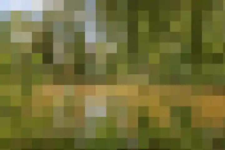 Nijenrode 1 Eindhoven thumbnail 37