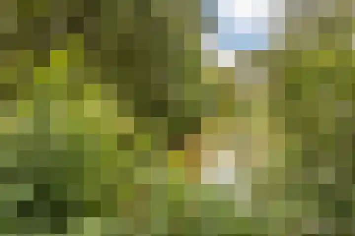 Nijenrode 1 Eindhoven thumbnail 38