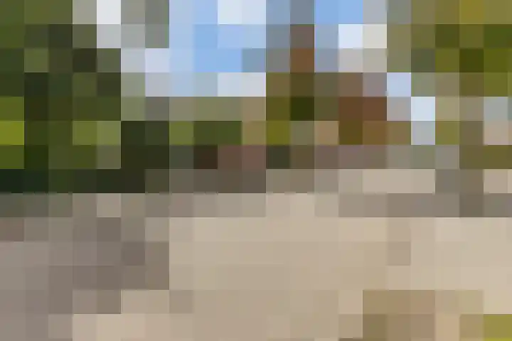 Nijenrode 1 Eindhoven thumbnail 39