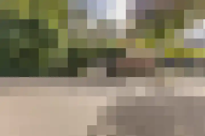 Nijenrode 1 Eindhoven thumbnail 40