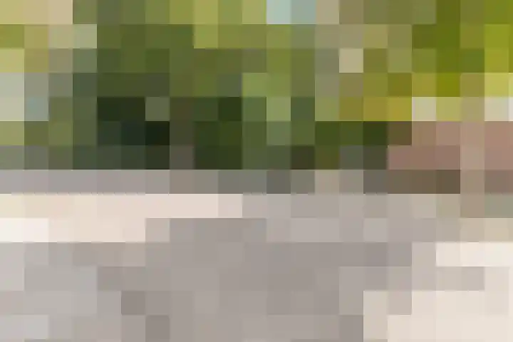 Nijenrode 1 Eindhoven thumbnail 41