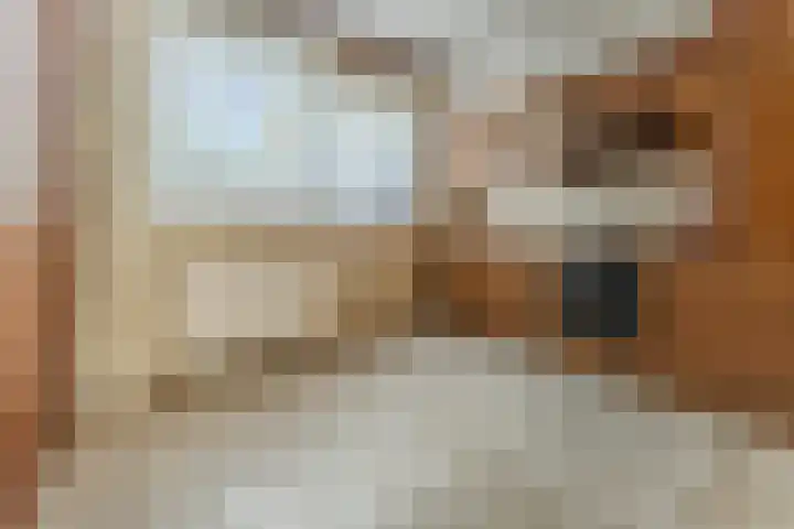 Nijenrode 1 Eindhoven thumbnail 7