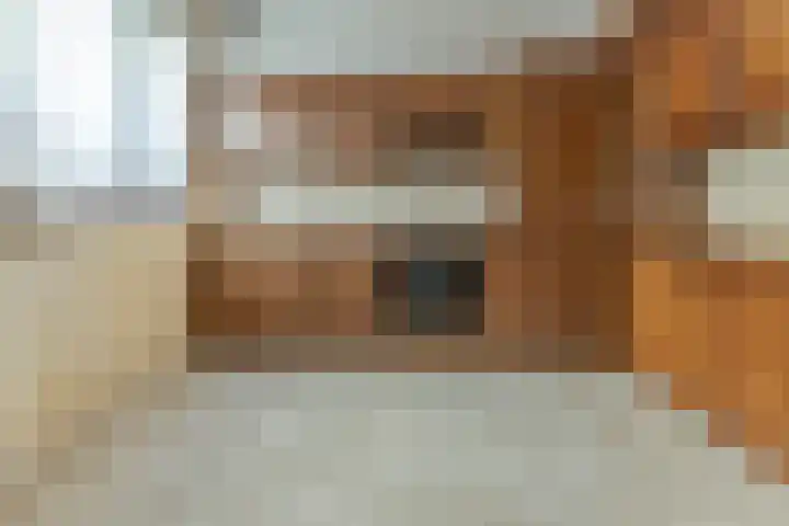 Nijenrode 1 Eindhoven thumbnail 8