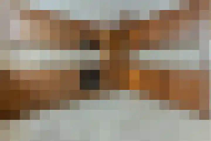 Nijenrode 1 Eindhoven thumbnail 9