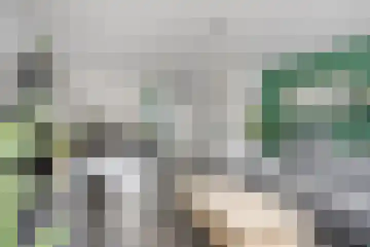 Nijenrode 109 Eindhoven thumbnail 11
