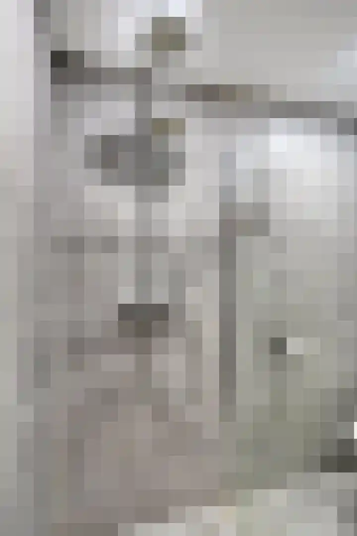 Nijenrode 109 Eindhoven thumbnail 22