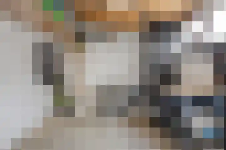 Nijenrode 109 Eindhoven thumbnail 34