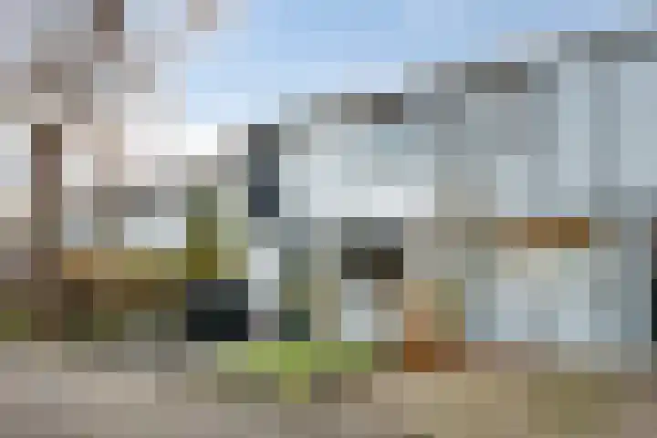 Nijenrode 109 Eindhoven thumbnail 35