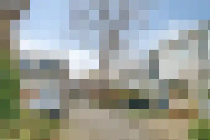 Nijenrode 109 Eindhoven thumbnail 36