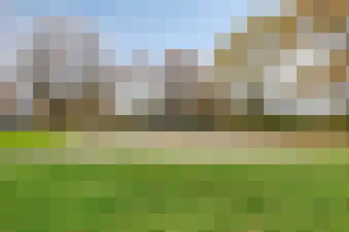 Nijenrode 109 Eindhoven thumbnail 37