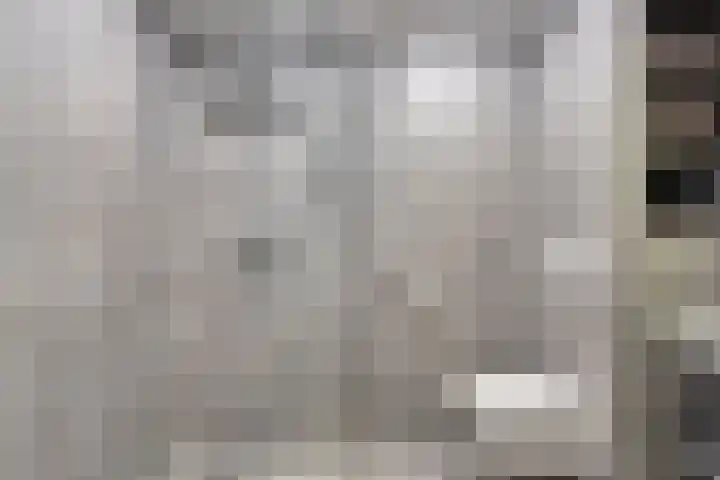 Nijenrode 109 Eindhoven thumbnail 5
