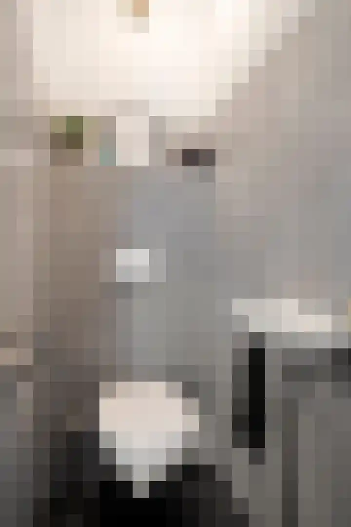 Nijenrode 109 Eindhoven thumbnail 9