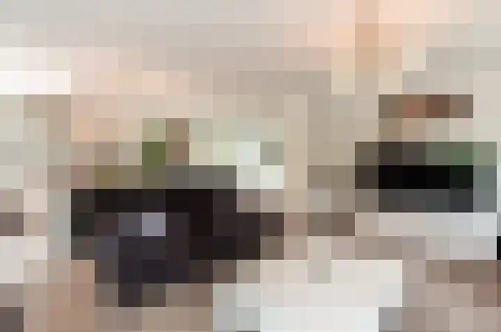 Nijenrode 11 Lelystad thumbnail 11