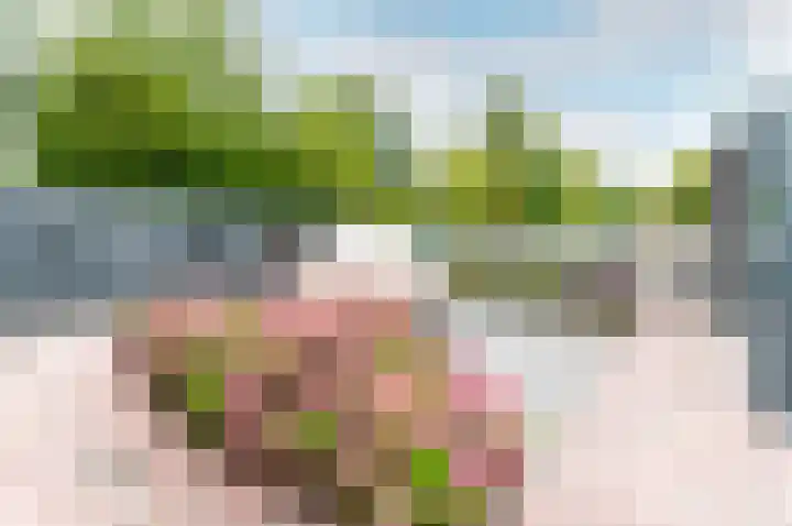 Nijenrode 11 Lelystad thumbnail 50
