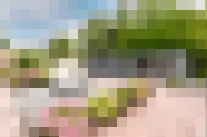 Nijenrode 11 Lelystad thumbnail 51