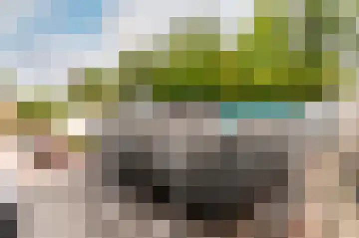Nijenrode 11 Lelystad thumbnail 53