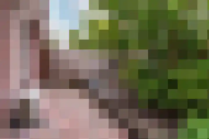Nijenrode 11 Lelystad thumbnail 56