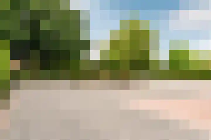 Nijenrode 11 Lelystad thumbnail 63