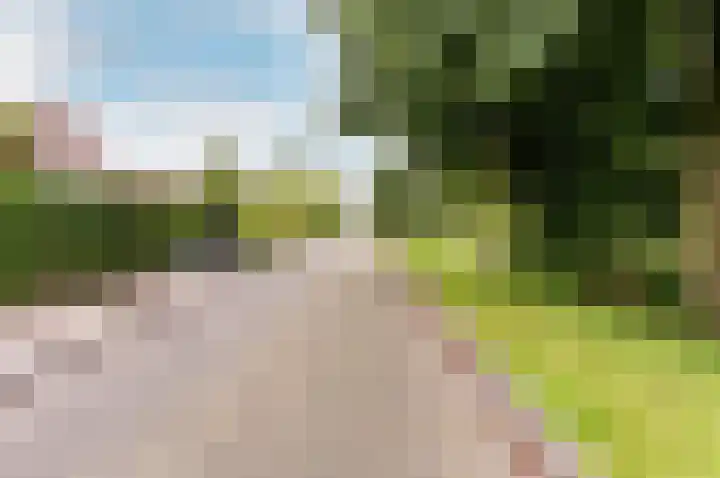 Nijenrode 11 Lelystad thumbnail 69