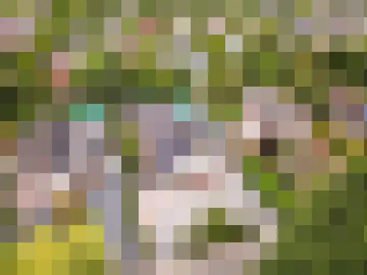 Nijenrode 11 Lelystad thumbnail 7