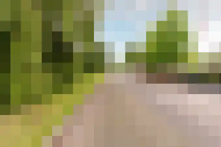 Nijenrode 11 Lelystad thumbnail 70