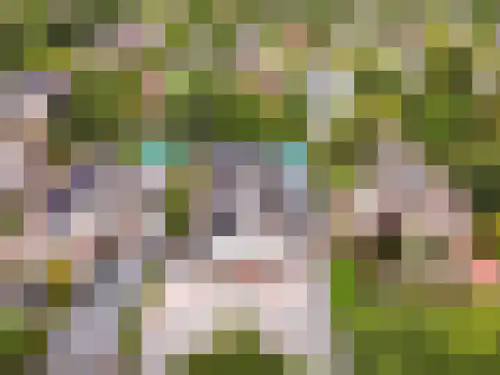 Nijenrode 11 Lelystad thumbnail 71
