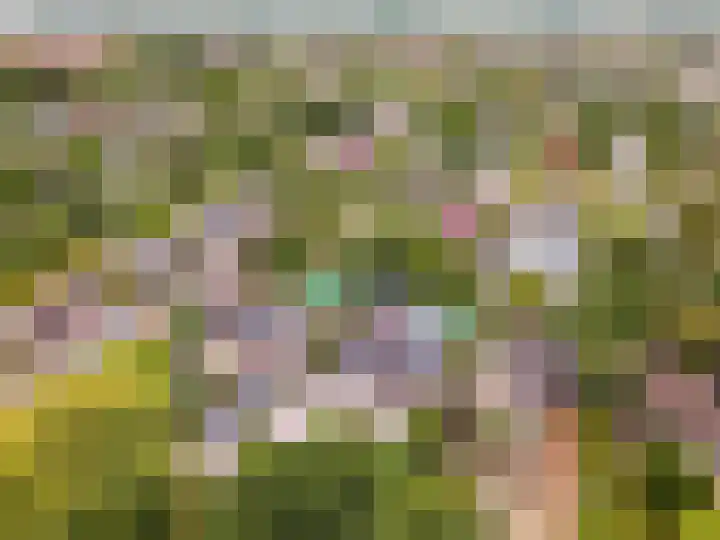 Nijenrode 11 Lelystad thumbnail 75