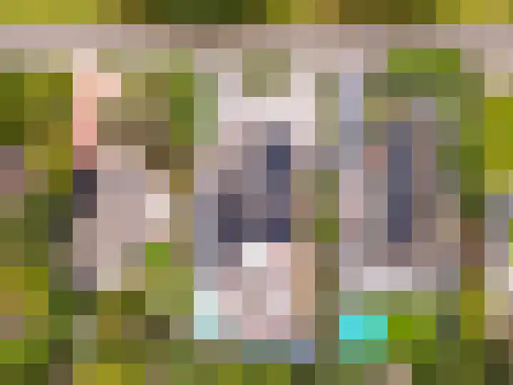 Nijenrode 11 Lelystad thumbnail 8
