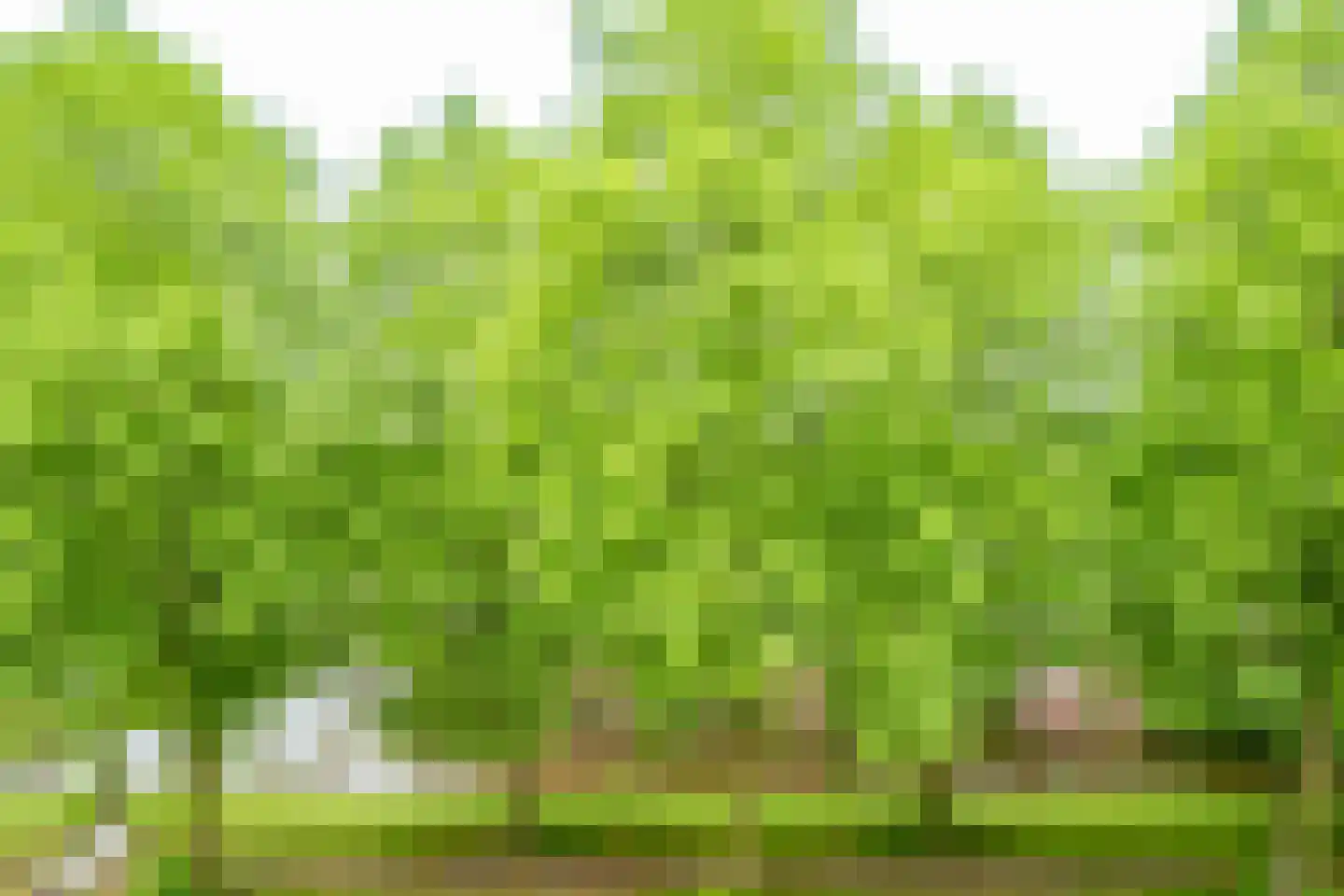 Nijenrode 13 B Amersfoort thumbnail 15