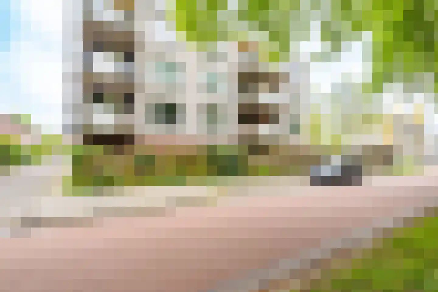 Nijenrode 13 B Amersfoort thumbnail 29