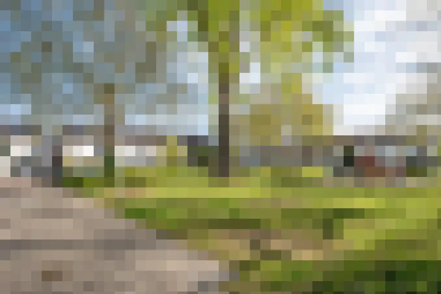 Nijenrode 137 Eindhoven thumbnail 42