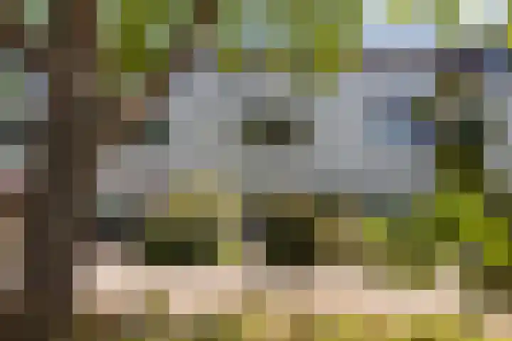 Nijenrode 14 Landsmeer