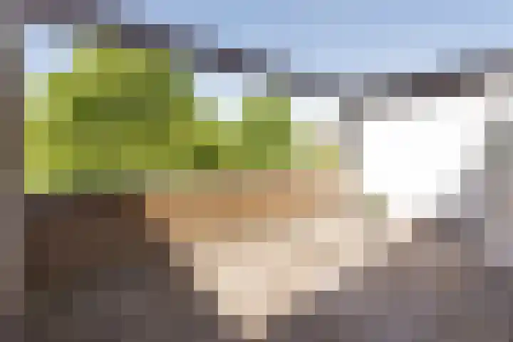 Nijenrode 14 Landsmeer thumbnail 12