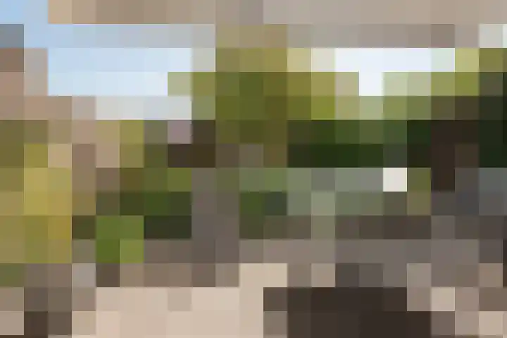 Nijenrode 14 Landsmeer thumbnail 13