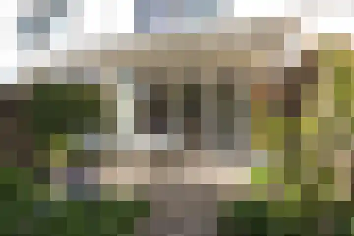 Nijenrode 14 Landsmeer thumbnail 14