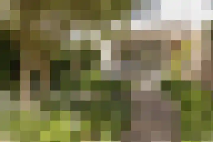 Nijenrode 14 Landsmeer thumbnail 15