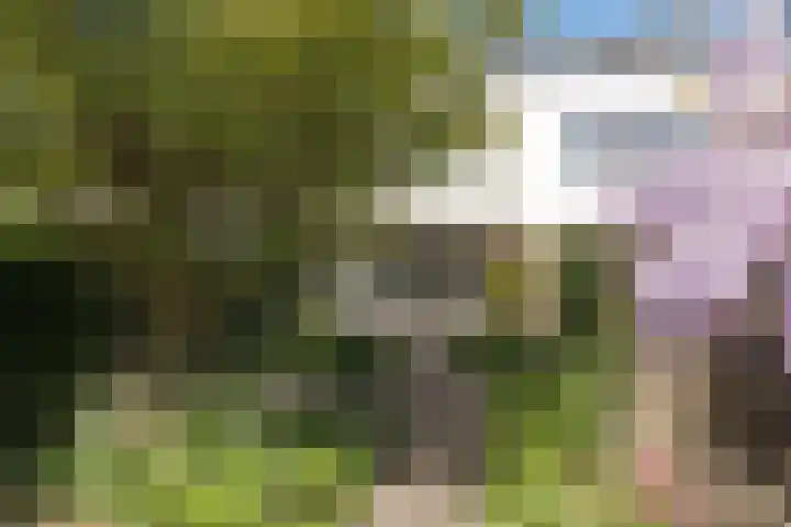Nijenrode 14 Landsmeer thumbnail 16