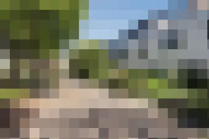 Nijenrode 14 Landsmeer thumbnail 18