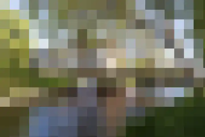 Nijenrode 14 Landsmeer thumbnail 19