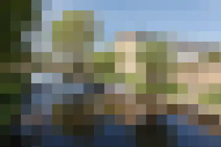 Nijenrode 14 Landsmeer thumbnail 20