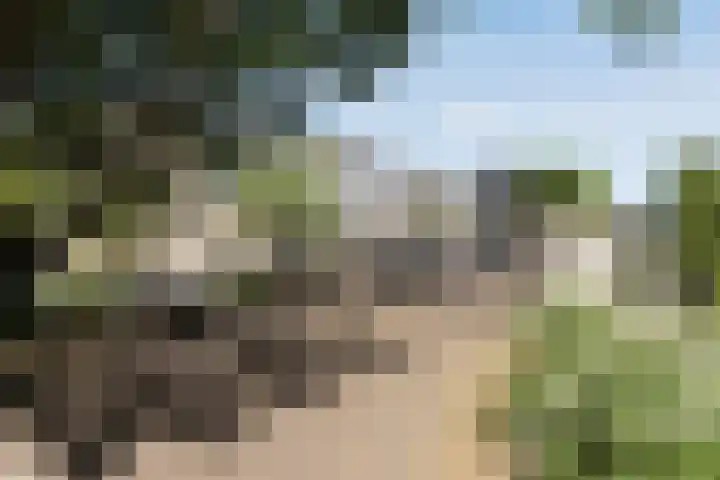 Nijenrode 14 Landsmeer thumbnail 21